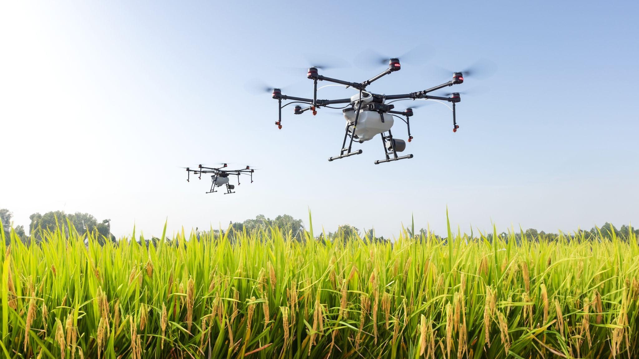 Agricultura de precisión: clave para mejorar la productividad en el campo