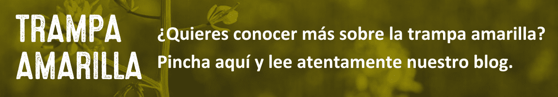 ¿Quieres conocer cómo hacer un uso correcto de las trampas amarillas?