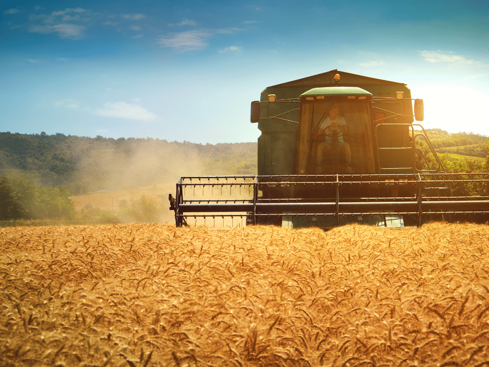 Campaña de cosecha de cereal 2024