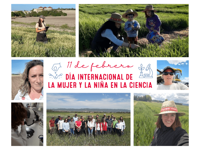 Celebrando el Día Internacional de la Mujer y la Niña en la Ciencia