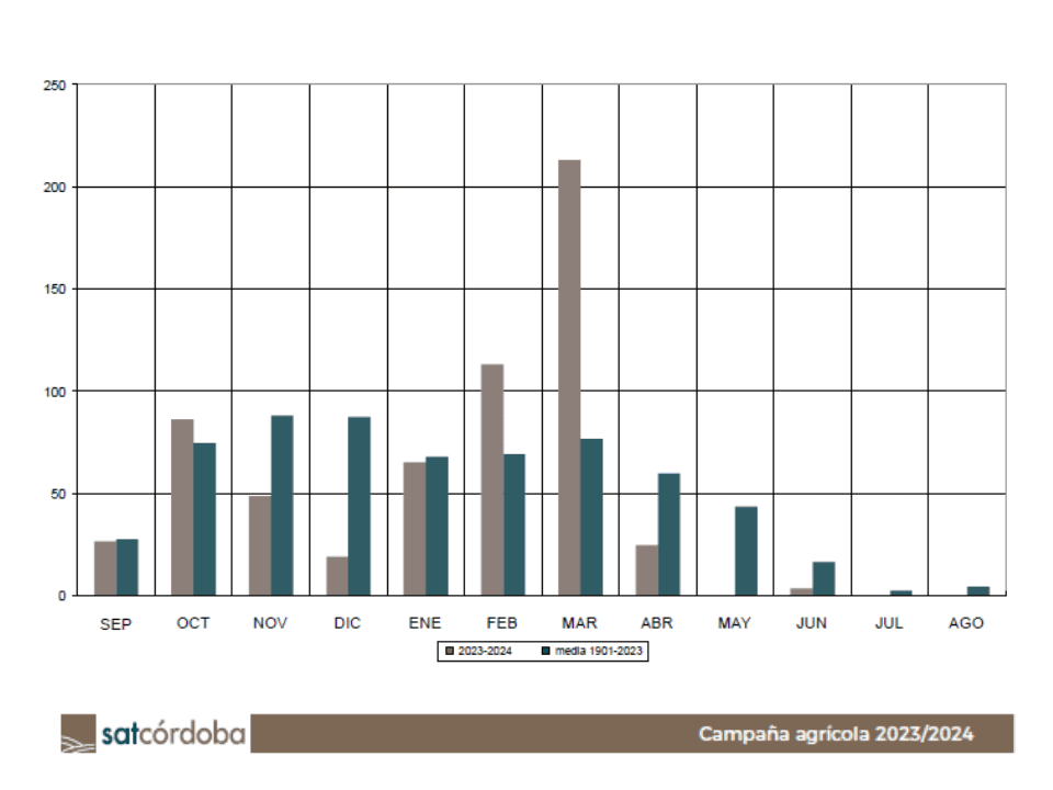 Lluvia en el año 2023-2024 y en el período 1902-2023 (Córdoba).