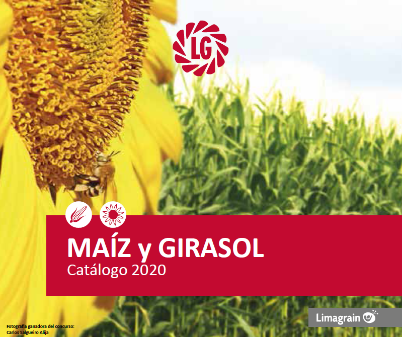 ¡Ya está disponible el nuevo Catálogo de Maíz y Girasol 2020!