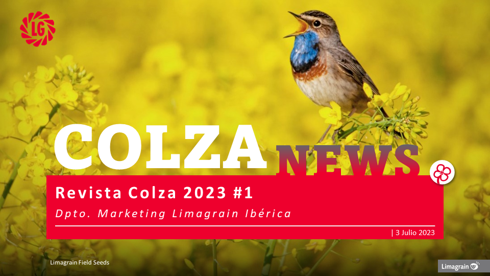 COLZA NEWS 2023 #1 SPAIN