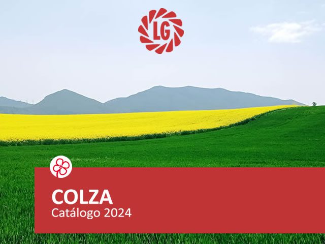 Colza