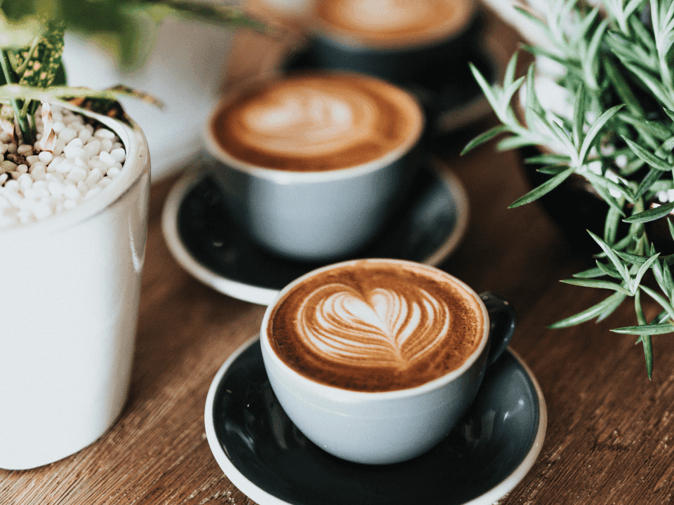 Los mejores termos para el café, Escaparate: compras y ofertas